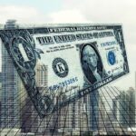 VINILTrading: A Suspected Scam