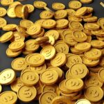 Propflys: A Risky Platform or a Trap in Disguise?