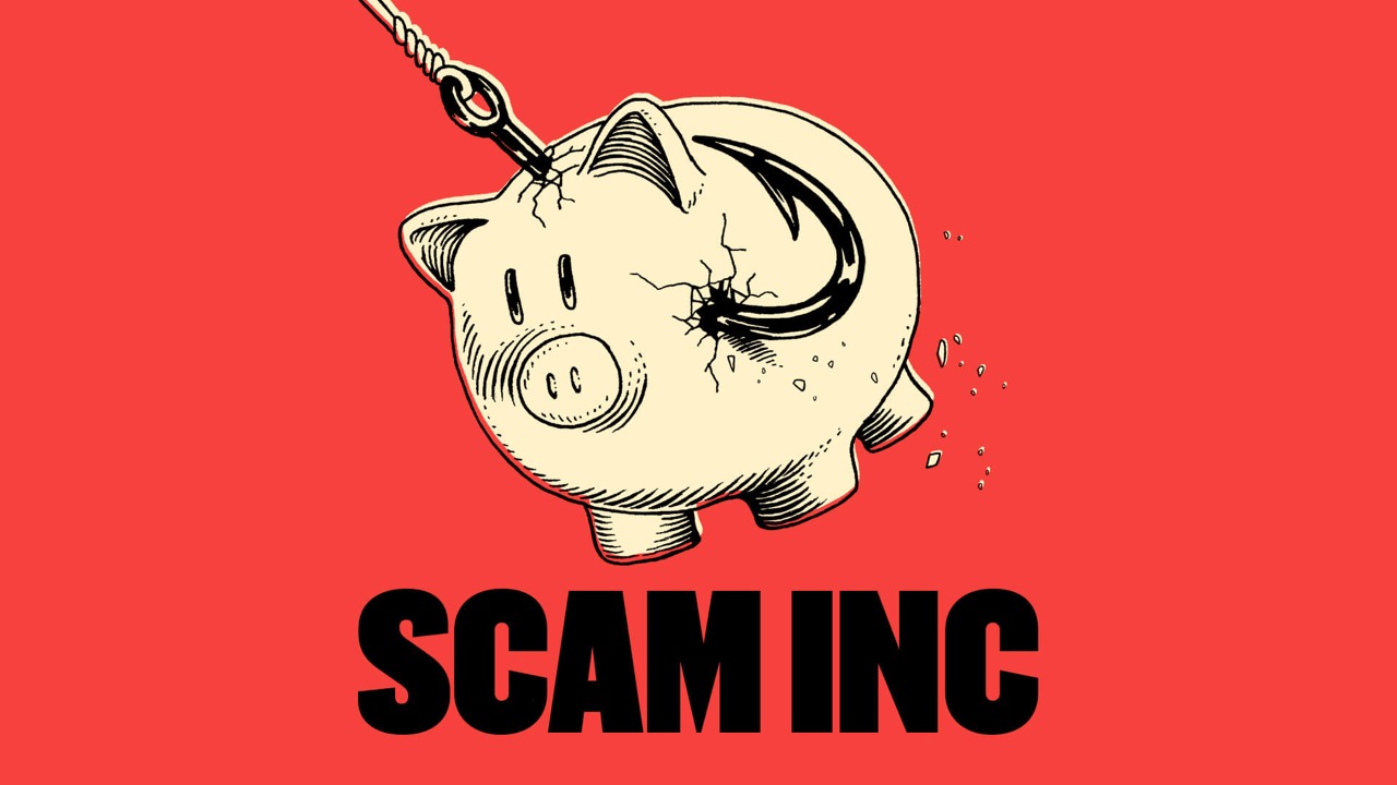 MacdTrades Platform Exposure and Regulatory Risk Analysis